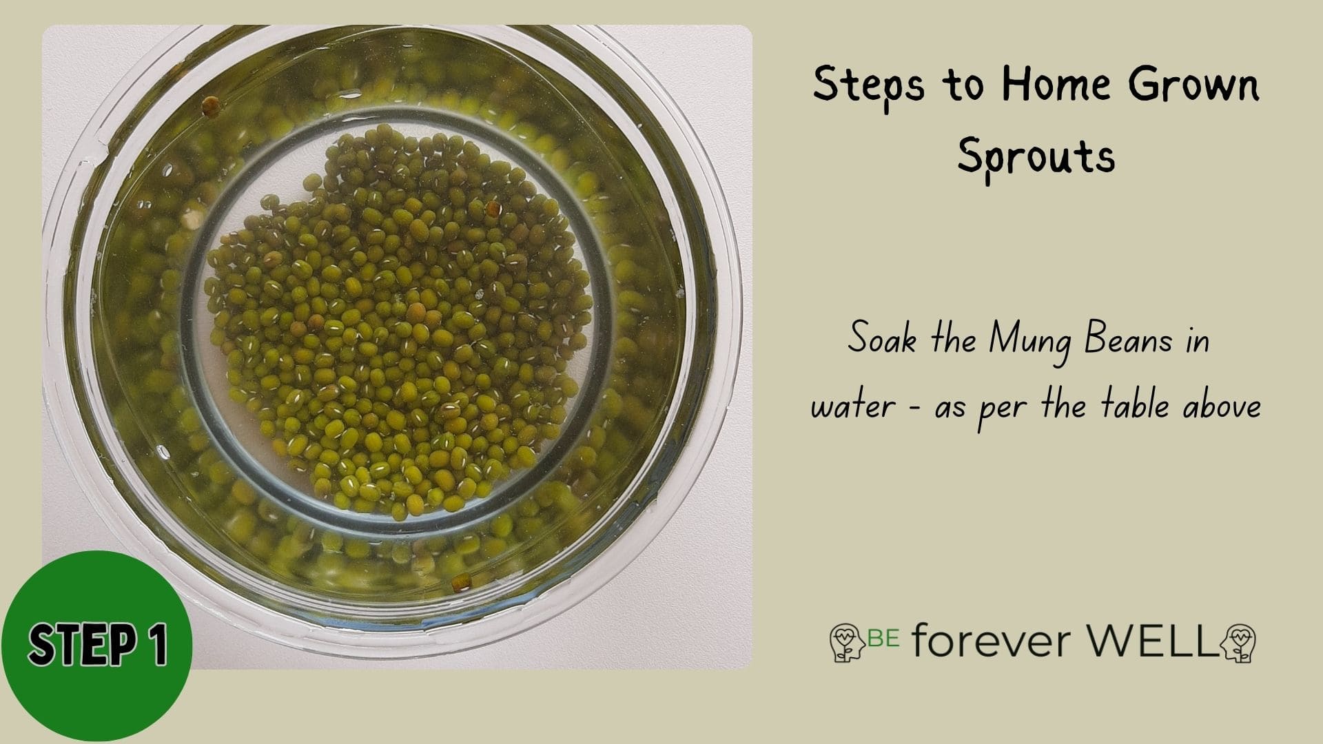 Health Benefits of Sprouting Seeds: Small But Powerful