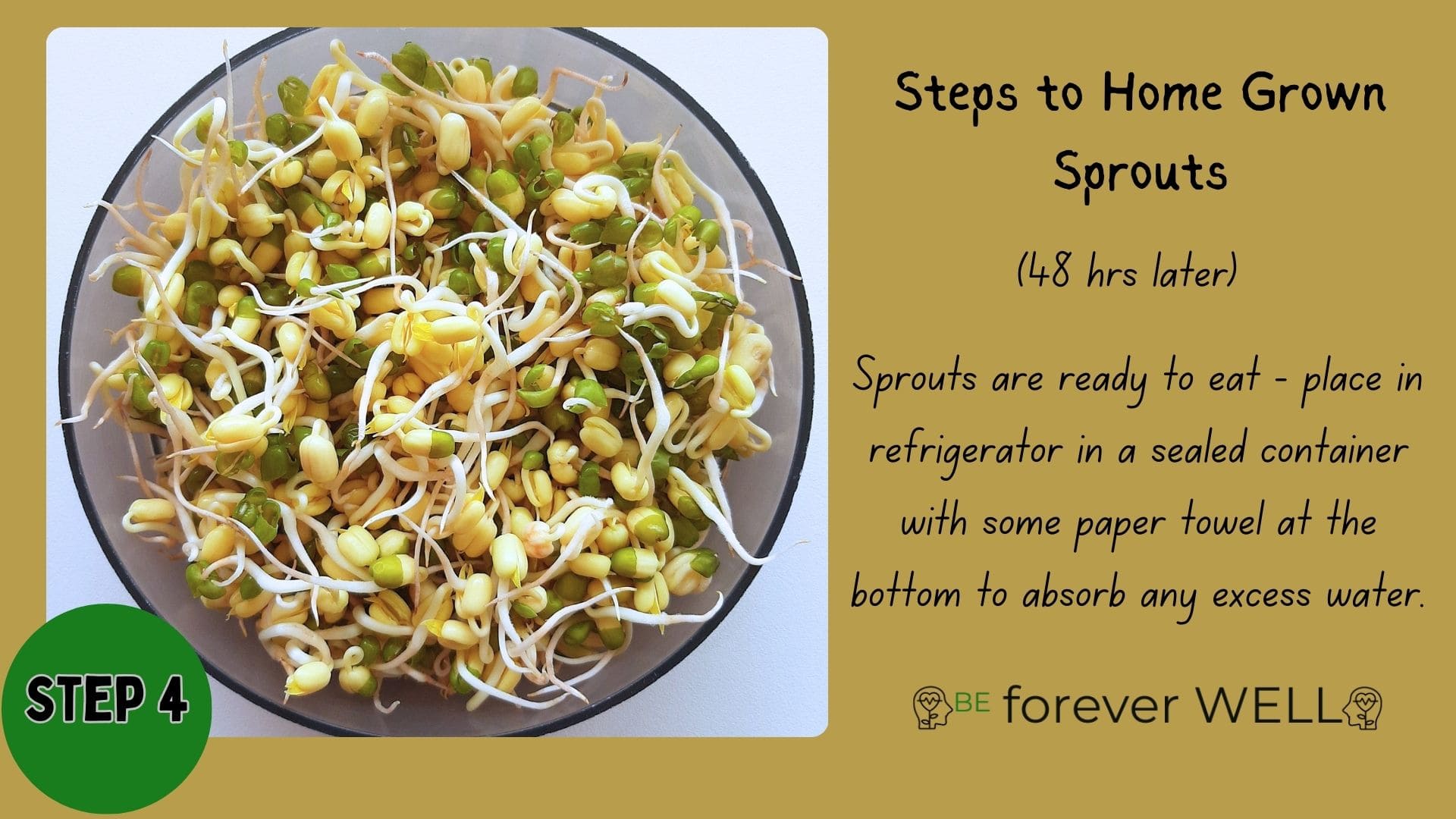 Health Benefits of Sprouting Seeds: Small But Powerful
