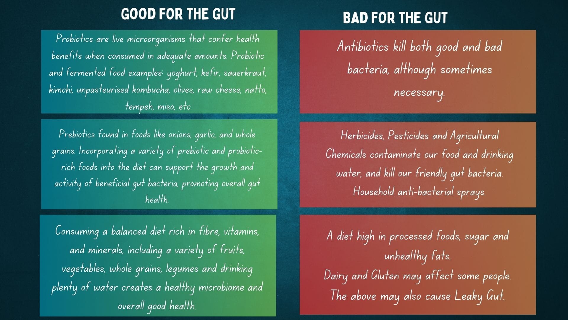 Gut Health Matters: The Impact of Diet on Your Microbiome and Well-Being