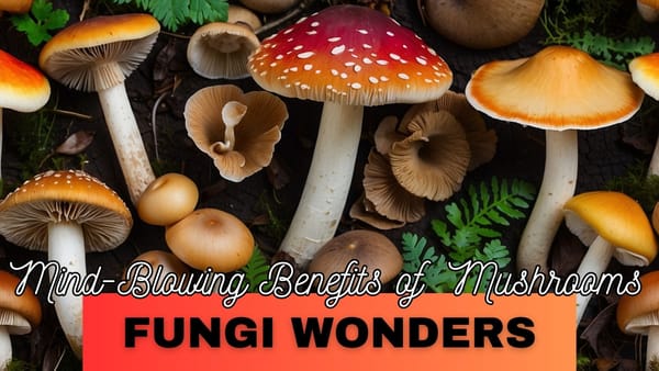 Fungi Wonders: Mind-Blowing Benefits of  Mushrooms