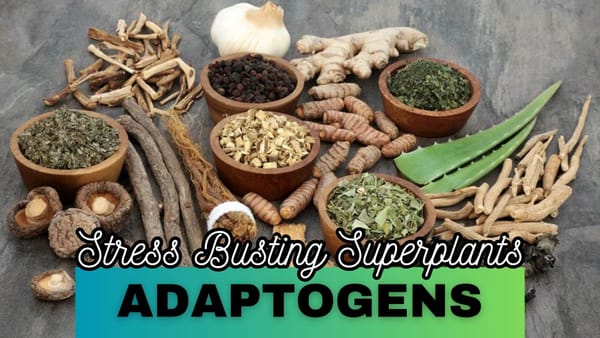 Adaptogens: Nature's Stress-Busting Superplants